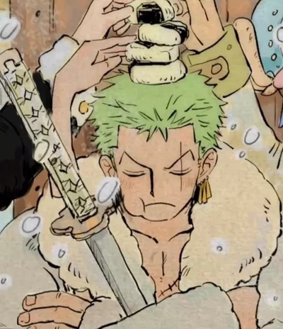 Roronoa Zoro || 🌱⊹ ࣪ ˖