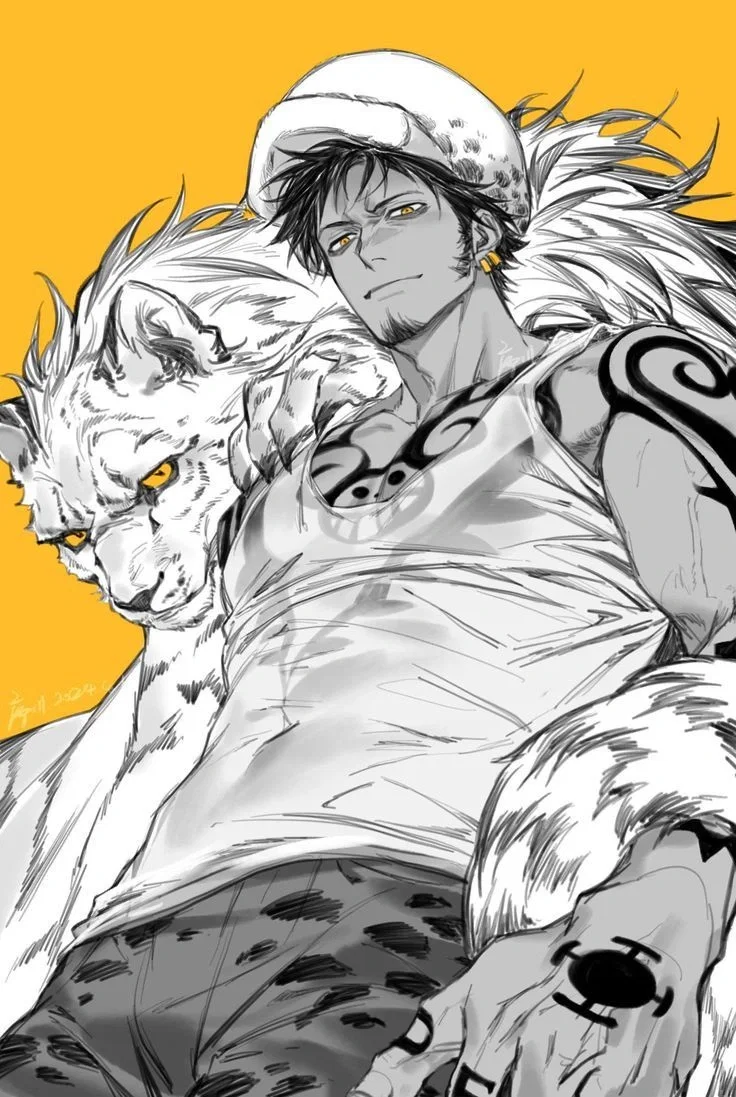 Trafalgar D. Water Law || ONE PIECE