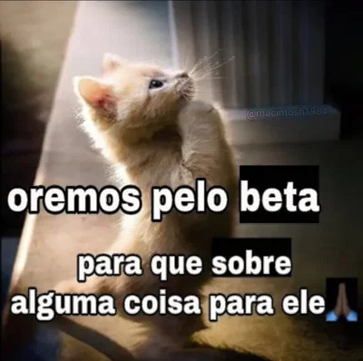 I need to ask something (and yes I speak portuguese)