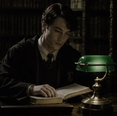 Tom Riddle Jr. (Golden Trio Era)