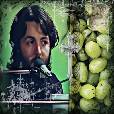 Paul McCartney 