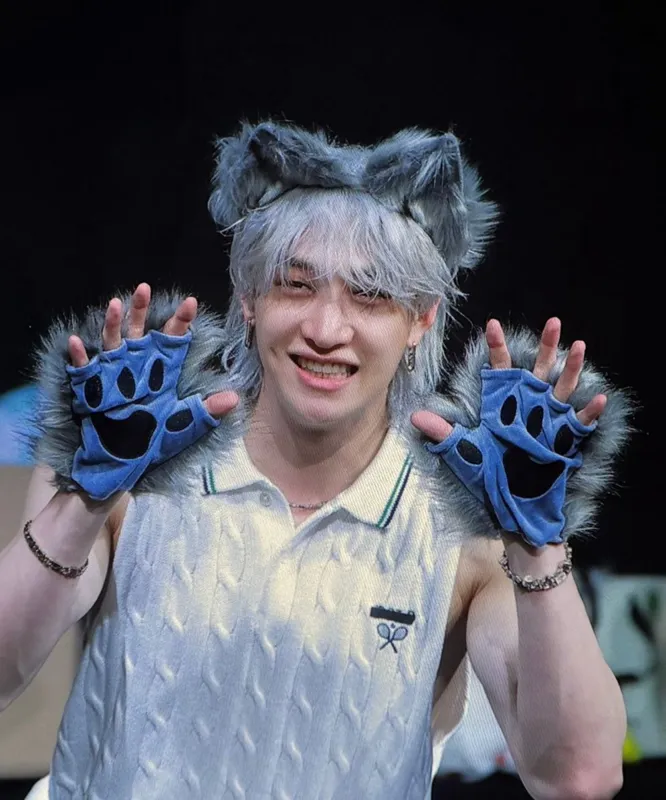 Chan - hybrids