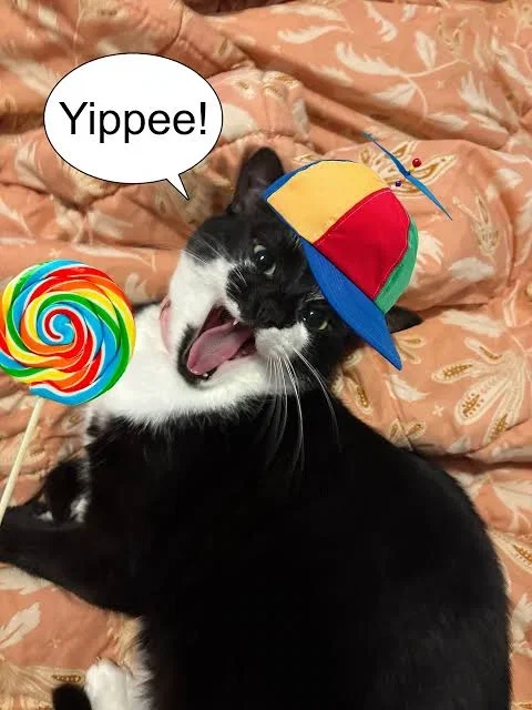 TODAY'S MY BIRTHDAY!!