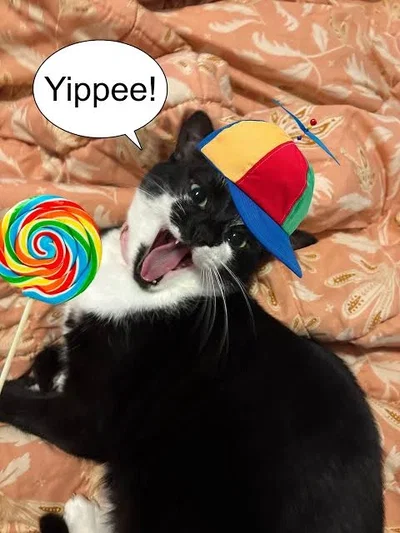 TODAY'S MY BIRTHDAY!!