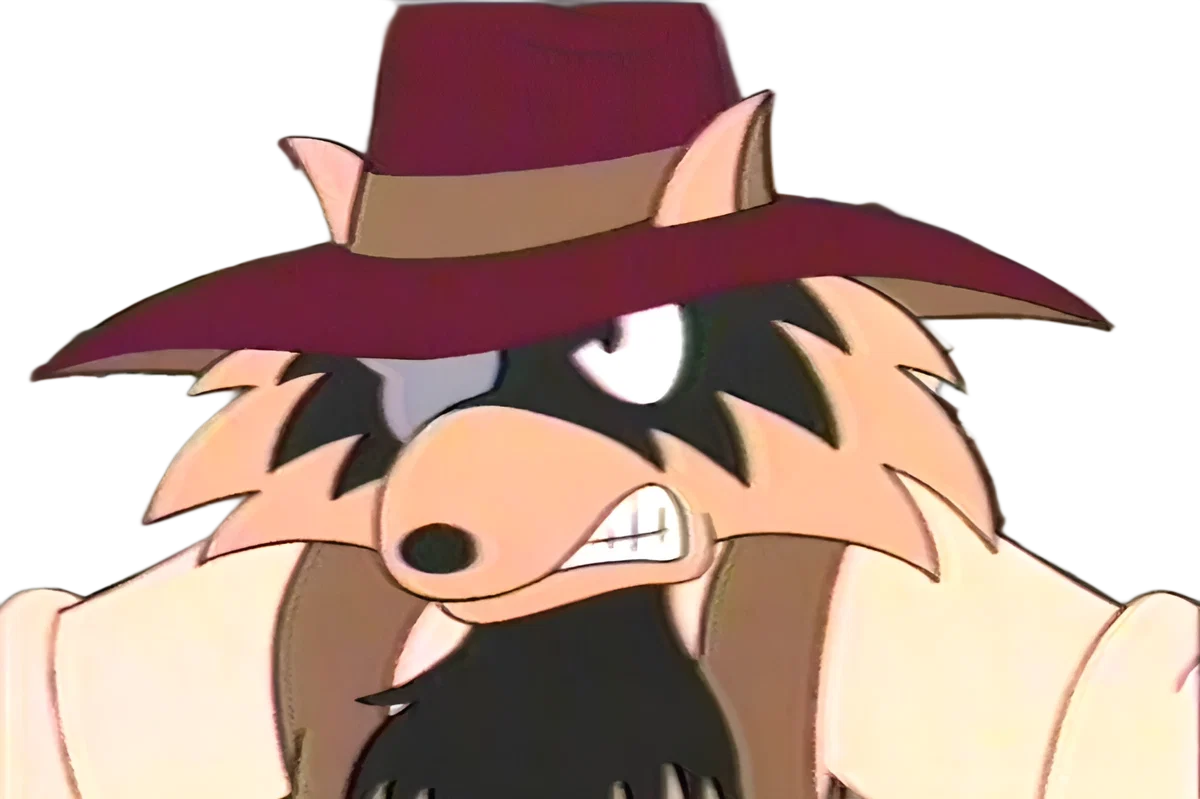 Rocky Raccoon