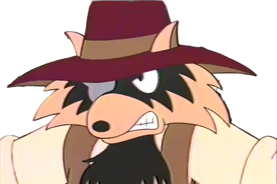 Rocky Raccoon