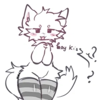 ~★•°《`BOYKISSER`》°•★~