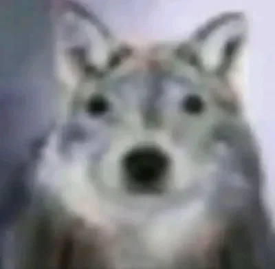 Smthn smthn