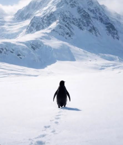Nihilist Penguin
