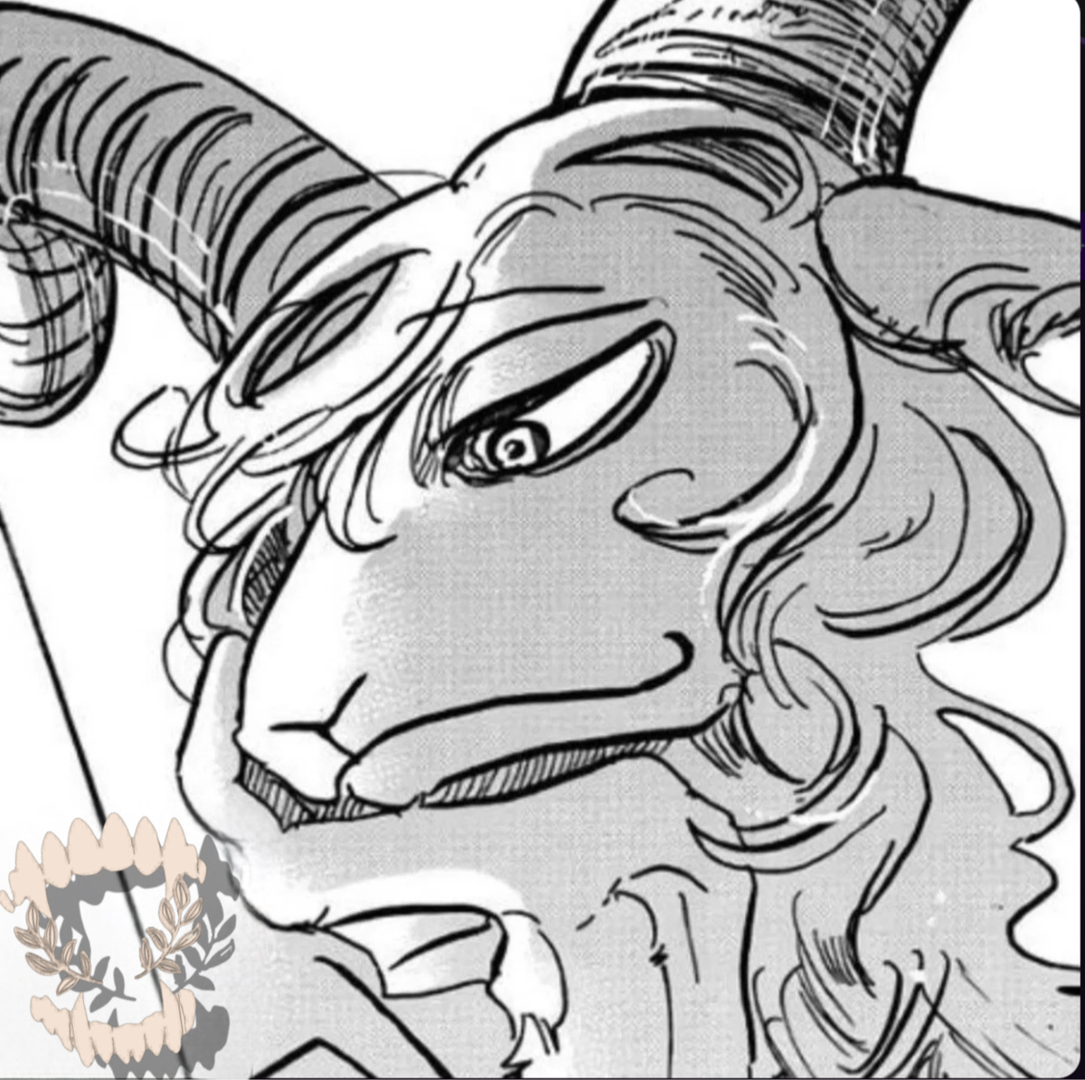 Pina The dall sheep