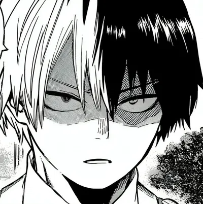 ❅ Shoto Todoroki ঌ