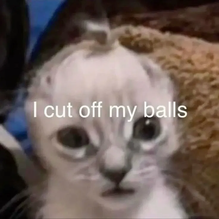 800 followers is just genuinely mind boggling wtf TY DO YOU WANT MY SPLEEN???