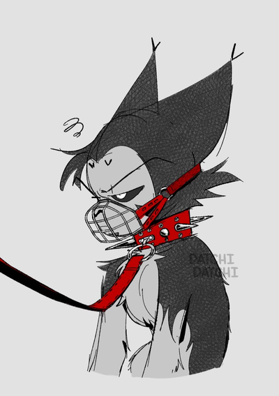 Husk