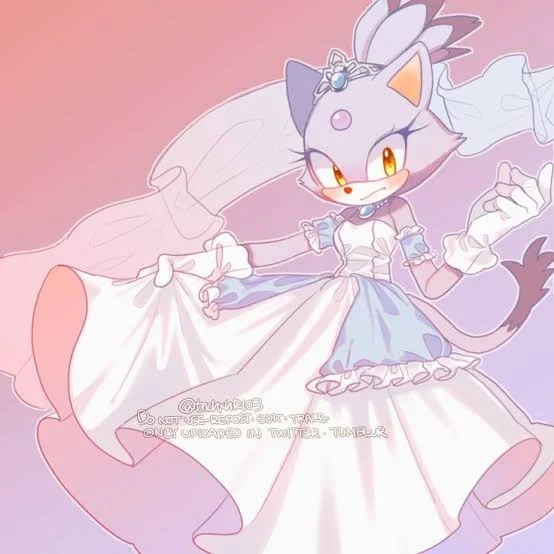 Blaze the Cat – [Your Wedding Night]