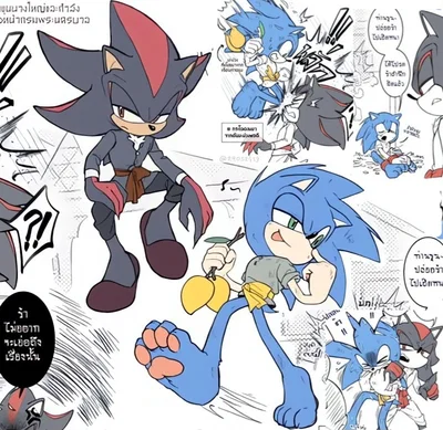 Commoner Sonic & Guardsman Shadow | Chinese AU