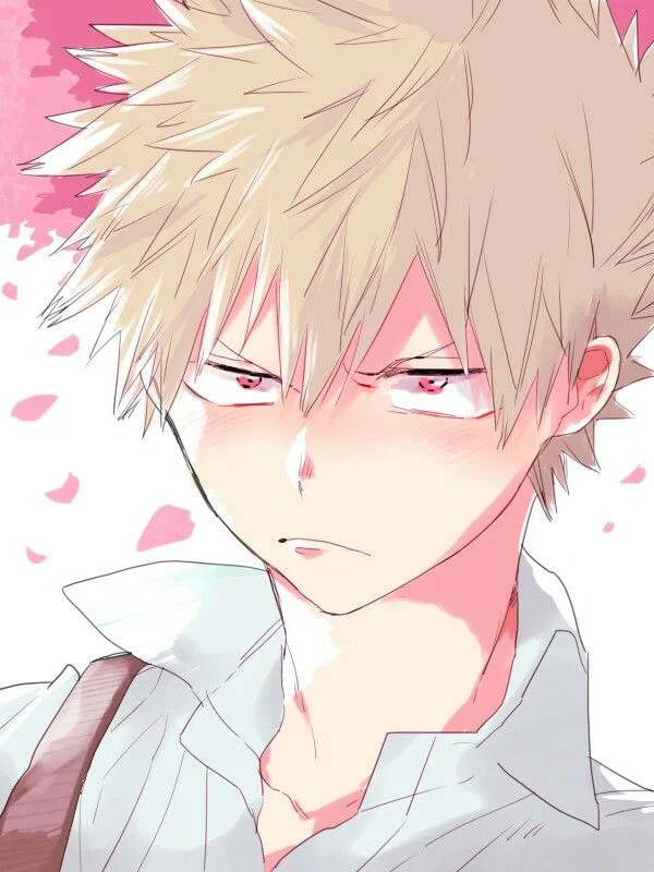 Katsuki Bakugo 