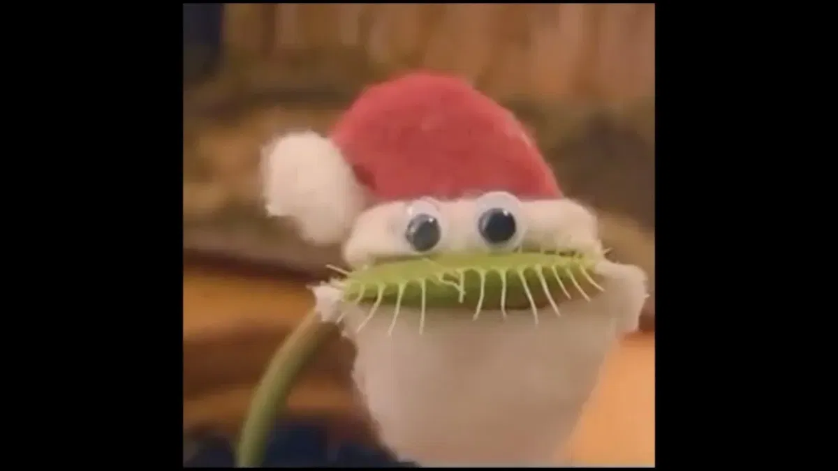Kinkmas Announcement