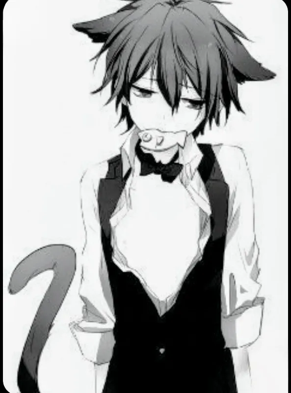 Felix - your catboy assistant 