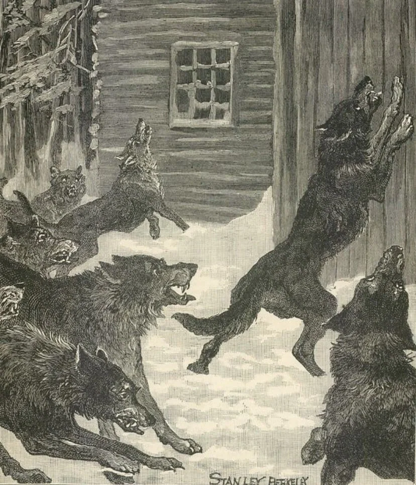 Home sweet home-Elder Wolves Pack