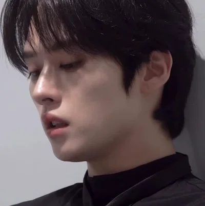 Lee Know | Minho 