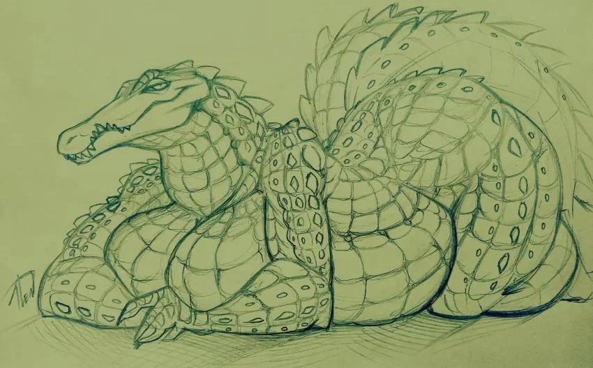 algigator ~ Mia