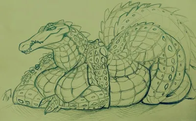 algigator ~ Mia