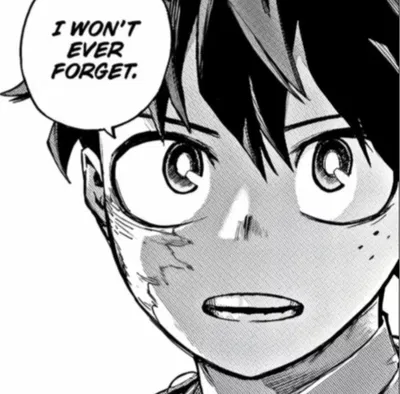 Izuku Midoriya ☆Villain user☆ 