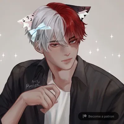 Shoto Todoroki