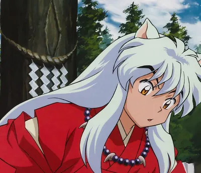 Inuyasha 
