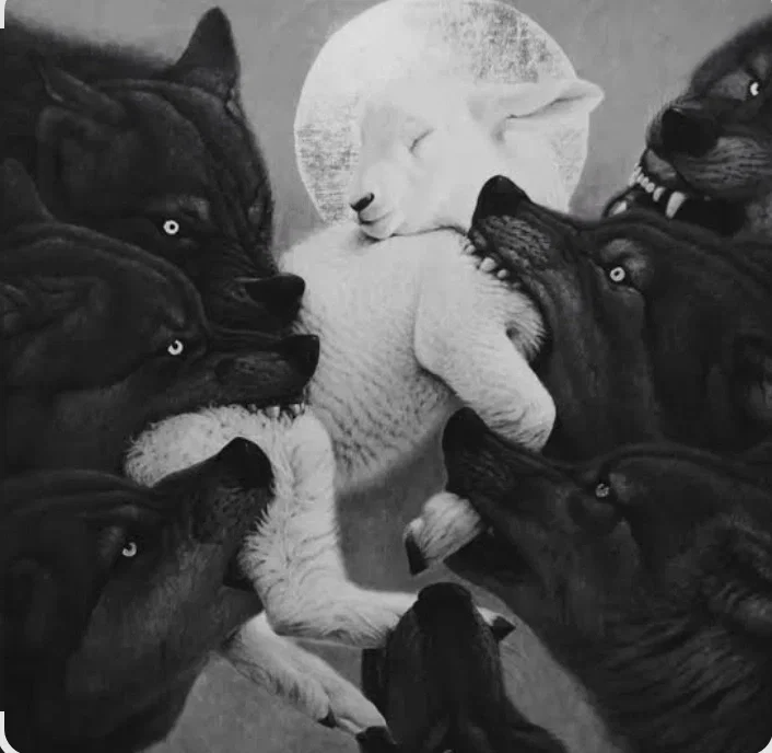 Six Werewolves | MLM/BL | Twisted Love Story 🥀