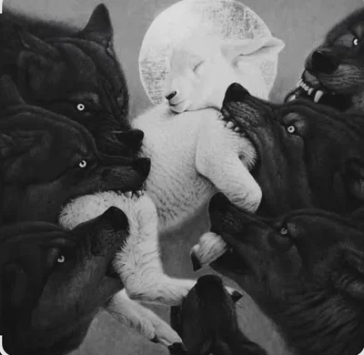 Six Werewolves | MLM/BL | Twisted Love Story 🥀