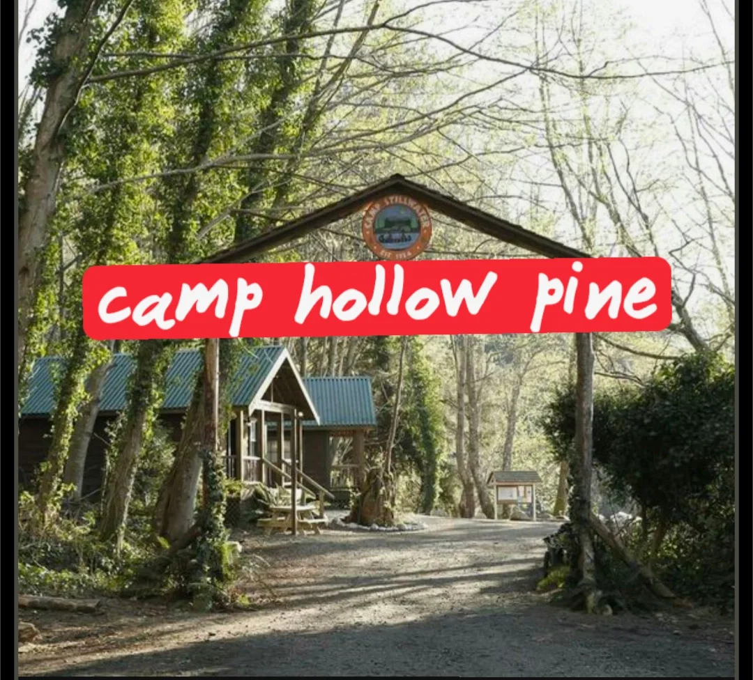 Camp hollow Pine