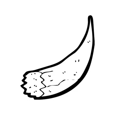 Lorebook -   Positions
