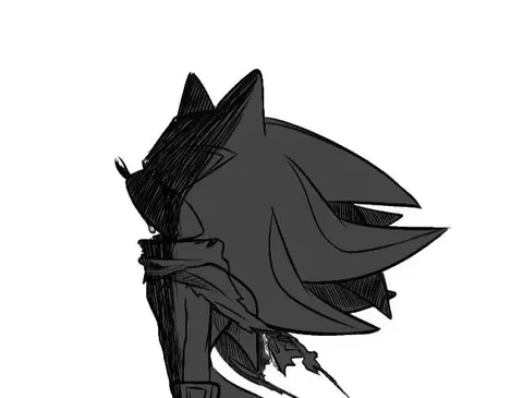 ♥〔Shadow The Hedgehog〕♥