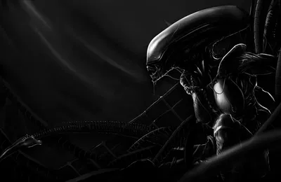 USCSS Nostromo | Alien (1979) RPG | Hybrid Crew Member POV (Alt. Scenario.)