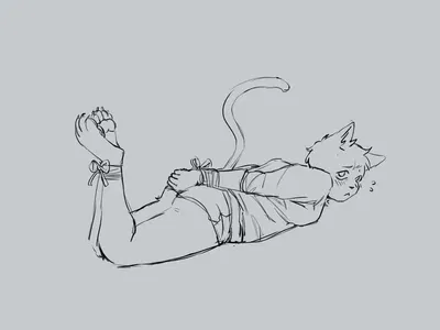 Breaking of the cat