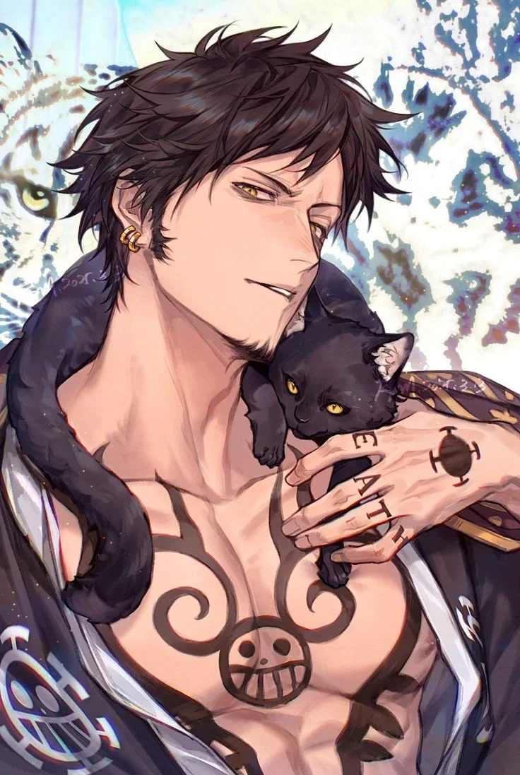 Trafalgar Law (Yandere AU)