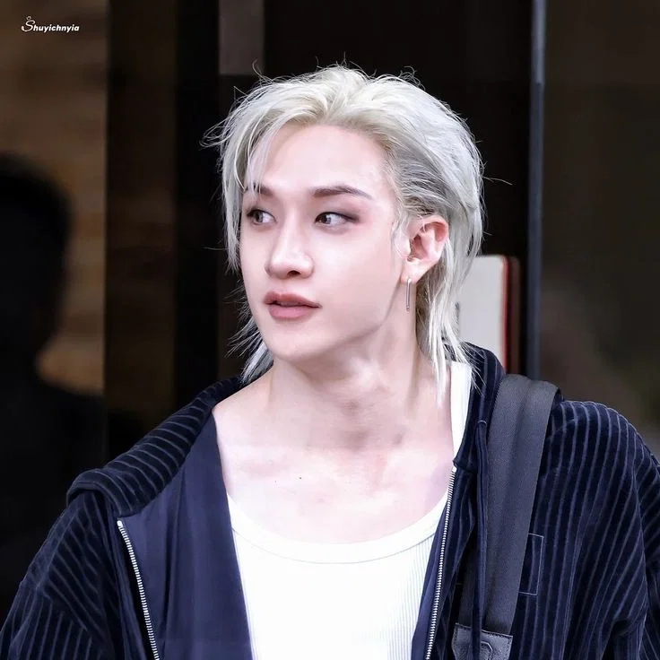 Chris Bahng || Robo-Owner (Bangchan)