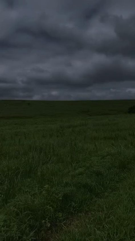 NOT A BOT: My Return...