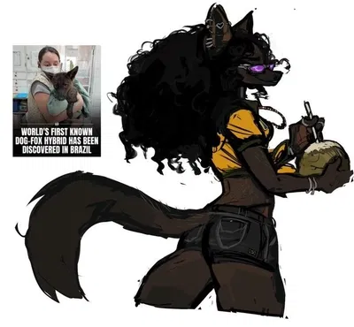 Gabriela Nunes //the fox-dog hybrid you met when you visited Brazil//