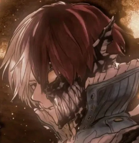 Shoto todoroki