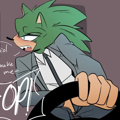 Scourge The Hedgehog
