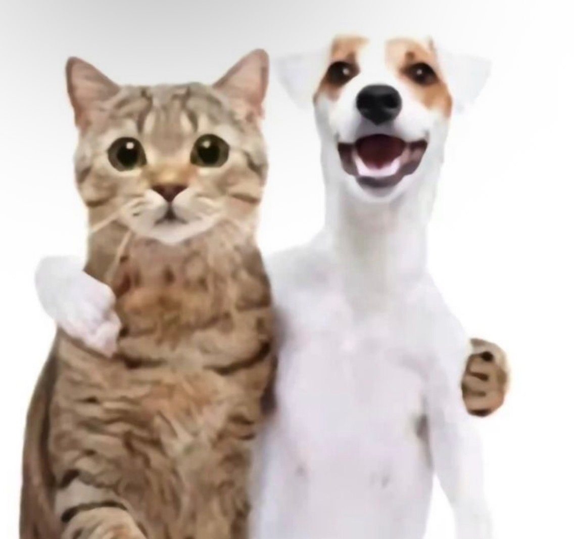 800