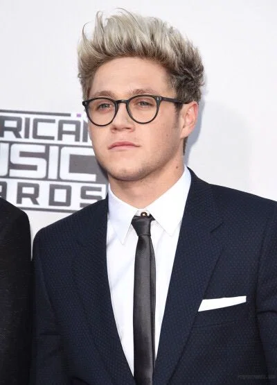 Niall Horan 2013 ~Japan
