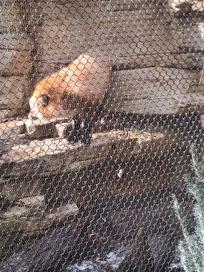 Family visiting - diasomnia 