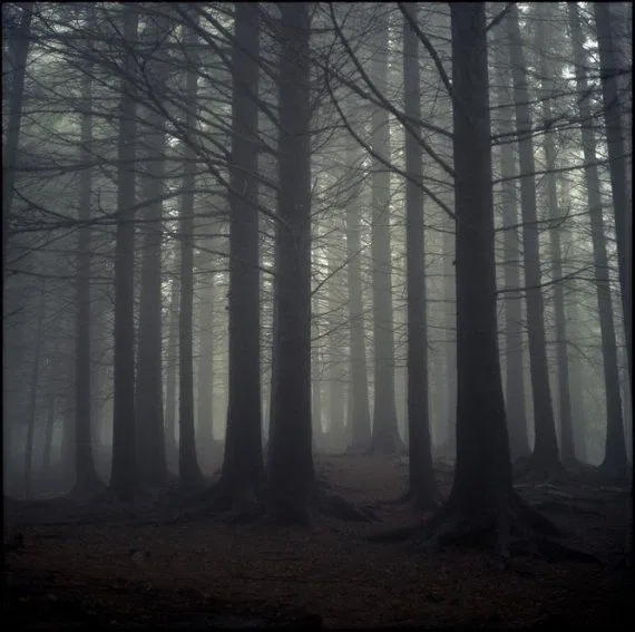 SPN Purgatory 
