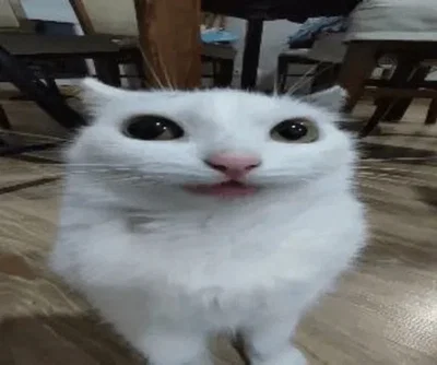 They took everything while I was banned