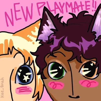 Your new playmates | Choco & Cheese