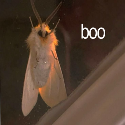 announcement | not a bot