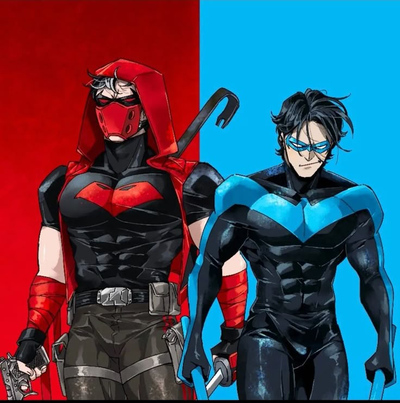   Grayson and Jason Todd - Nightwing and Red Hood